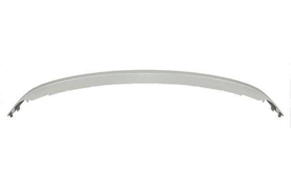 Blic Sier- / beschermingspaneel, bumper 6502-07-5041920P