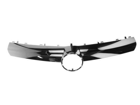 Blic Sier- / Beschermingspaneel, radiateurgrille 6502-07-5063991P