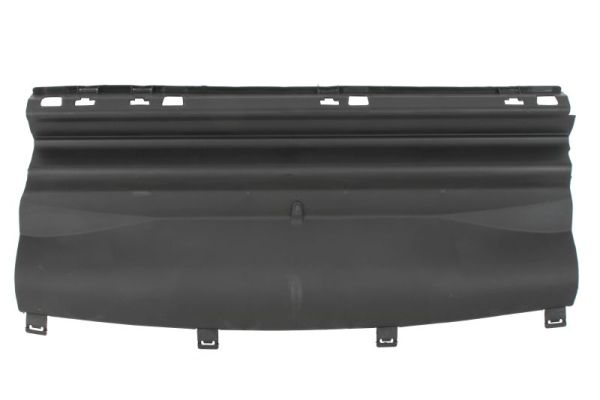 Blic Ventilatiegrille, bumper 6502-07-5724970P