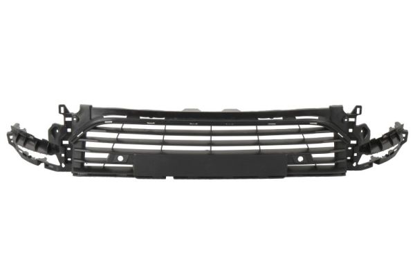 Blic Ventilatiegrille, bumper 6502-07-6033912P