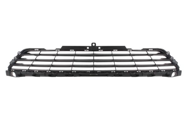 Blic Ventilatiegrille, bumper 6502-07-6066910P
