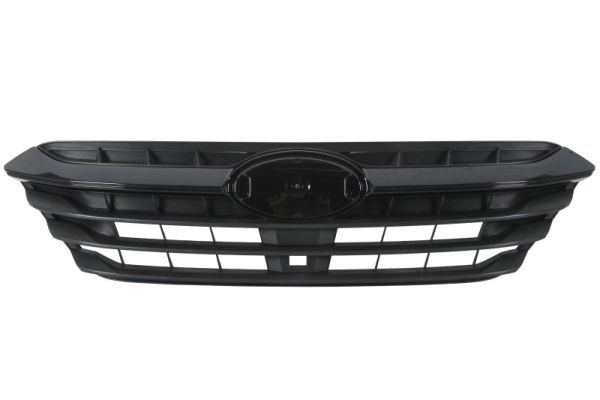 Blic Radiateurgrille 6502-07-6717991P