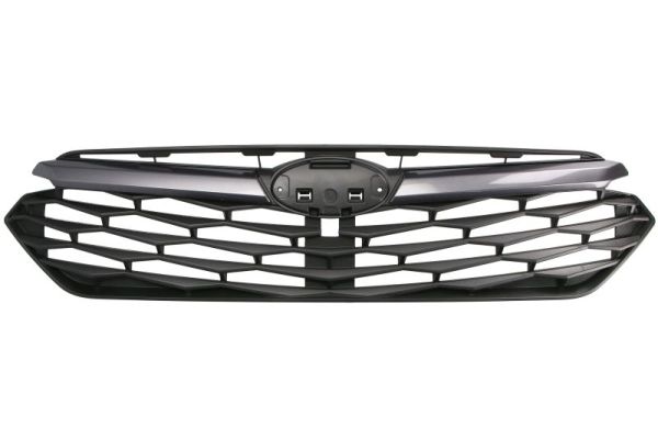 Blic Radiateurgrille 6502-07-6748990P