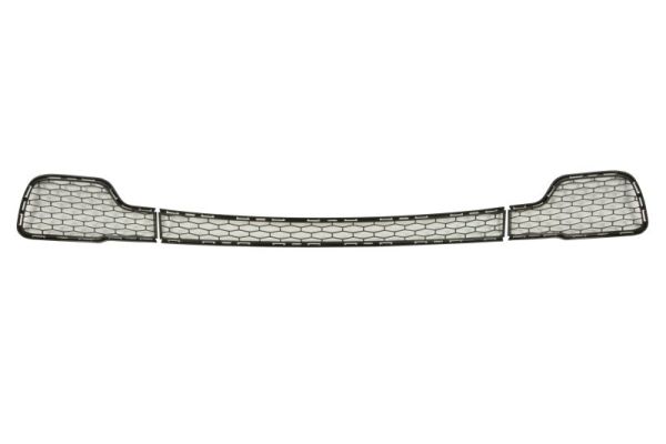 Blic Radiateurgrille 6502-07-6901990P