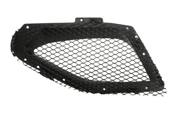 Blic Radiateurgrille 6502-07-6901991SP