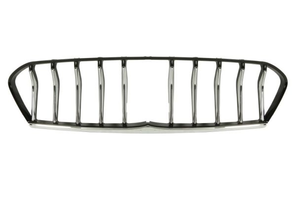 Blic Radiateurgrille 6502-07-6901993SP