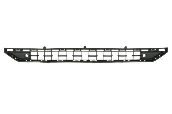 Blic Ventilatiegrille, bumper 6502-07-6902910P