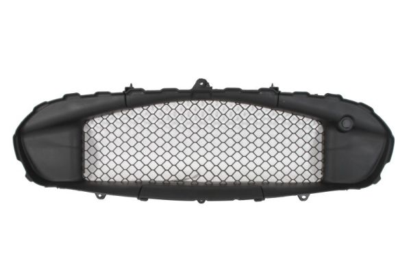Blic Ventilatiegrille, bumper 6502-07-6904981P