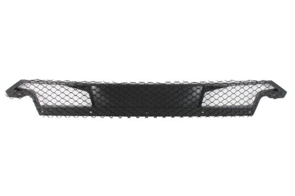 Blic Ventilatiegrille, bumper 6502-07-6904990TP