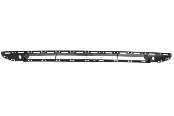 Blic Radiateurgrille 6502-07-6904993P