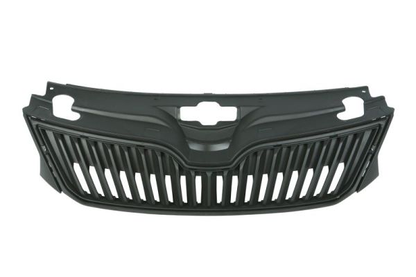 Blic Radiateurgrille 6502-07-7516990P