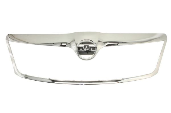 Blic Sier- / Beschermingspaneel, radiateurgrille 6502-07-7521999Q