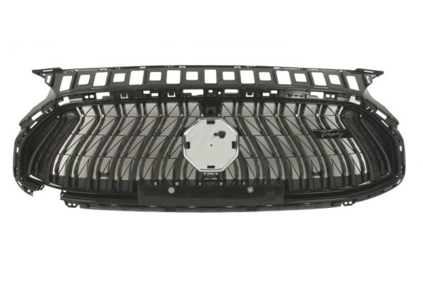 Blic Radiateurgrille 6502-07-7802991P