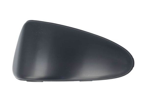 Blic Sier- / beschermingspaneel, bumper 6502-07-8101972Q