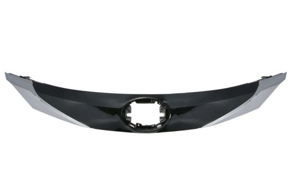 Blic Radiateurgrille 6502-07-8115991P