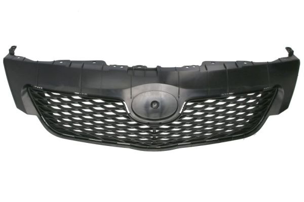 Blic Radiateurgrille 6502-07-8116996UP