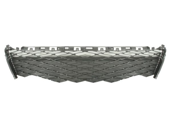 Blic Ventilatiegrille, bumper 6502-07-8123912P