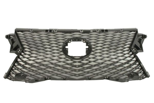 Blic Radiateurgrille 6502-07-8123990P