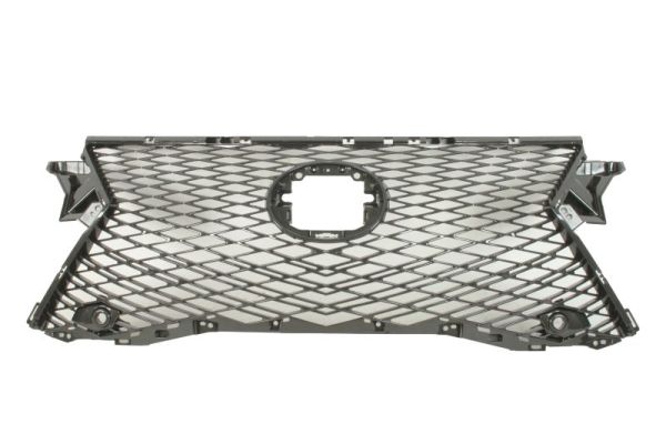 Blic Radiateurgrille 6502-07-8123991P