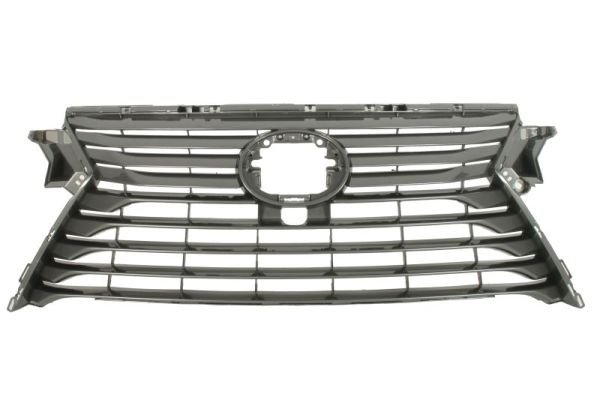 Blic Radiateurgrille 6502-07-8123994P