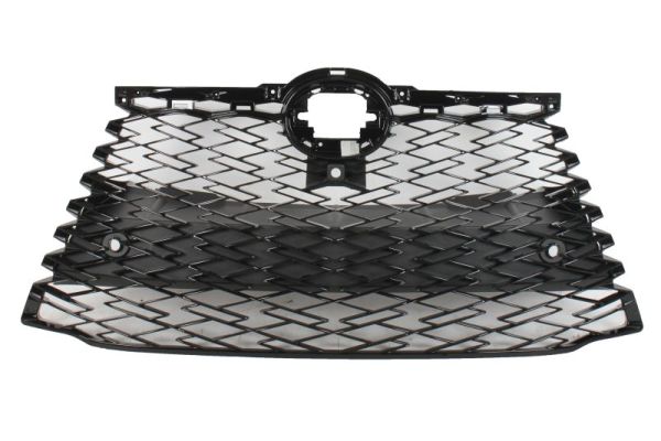Blic Radiateurgrille 6502-07-8126990P