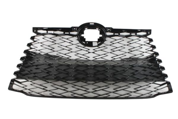 Blic Radiateurgrille 6502-07-8126992P