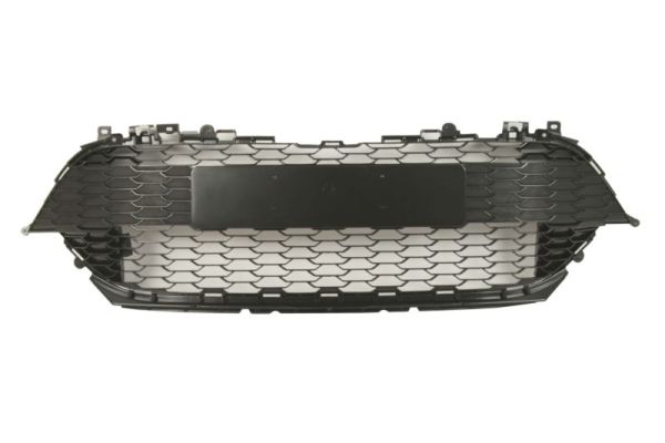 Blic Ventilatiegrille, bumper 6502-07-8140910HP