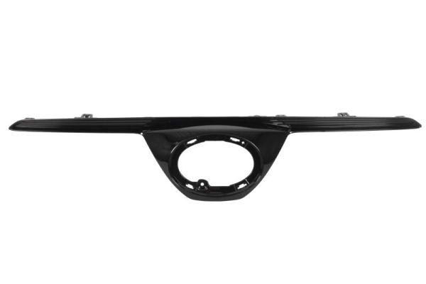 Blic Radiateurgrille 6502-07-8141990P