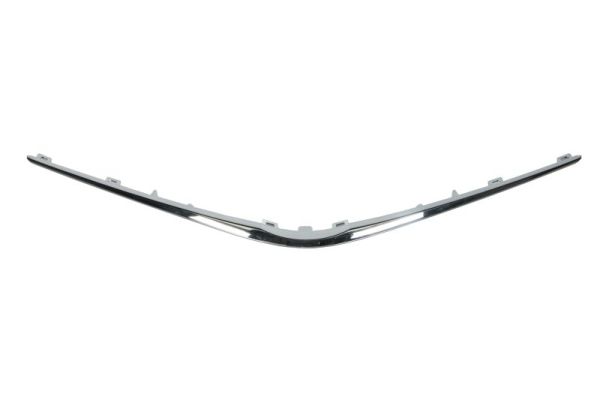 Blic Sier- / Beschermingspaneel, radiateurgrille 6502-07-8156210Q