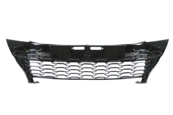 Blic Radiateurgrille 6502-07-8156992P