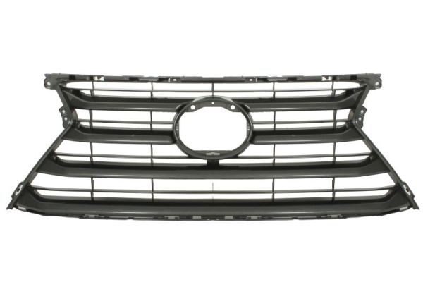Blic Radiateurgrille 6502-07-8166993P
