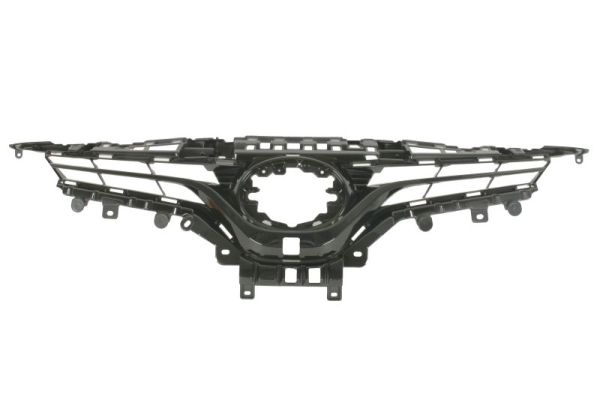 Blic Radiateurgrille 6502-07-8167996P