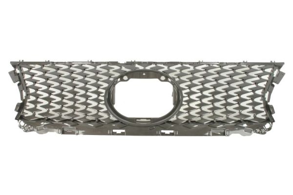 Blic Radiateurgrille 6502-07-8171995P