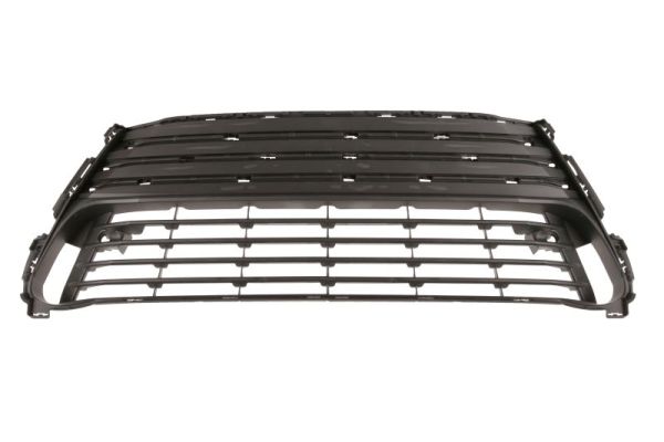 Blic Ventilatiegrille, bumper 6502-07-8173916P