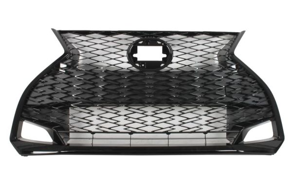 Blic Radiateurgrille 6502-07-8173992P