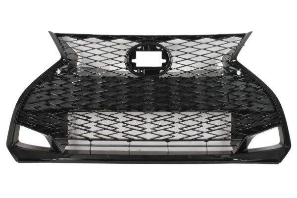 Blic Radiateurgrille 6502-07-8173993P