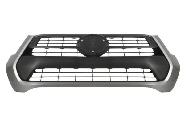 Blic Radiateurgrille 6502-07-8176990P