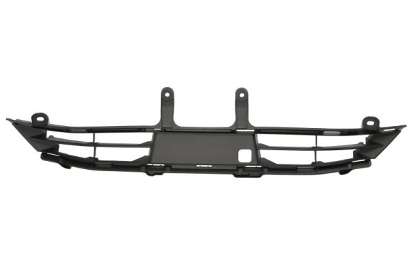 Blic Radiateurgrille 6502-07-8190990P