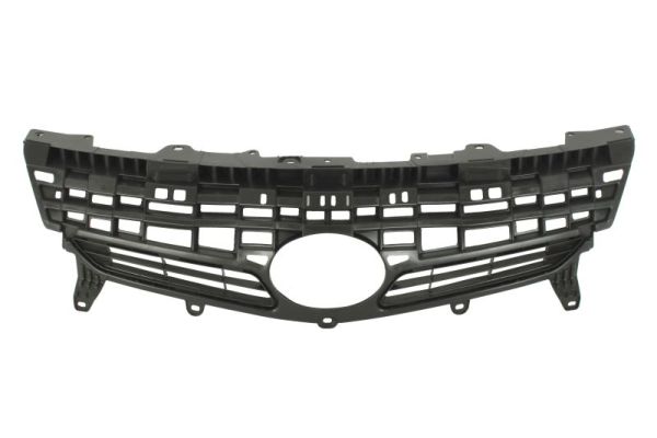 Blic Radiateurgrille 6502-07-8199990P