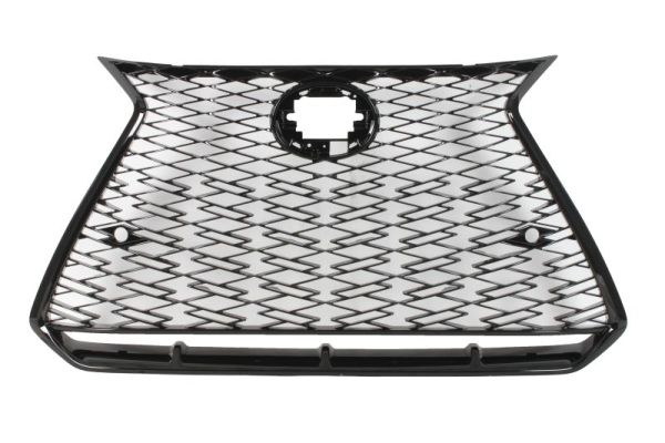 Blic Radiateurgrille 6502-07-8268991P