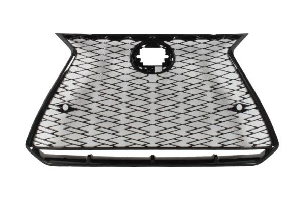 Blic Radiateurgrille 6502-07-8268992P