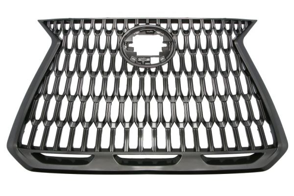 Blic Radiateurgrille 6502-07-8268993P