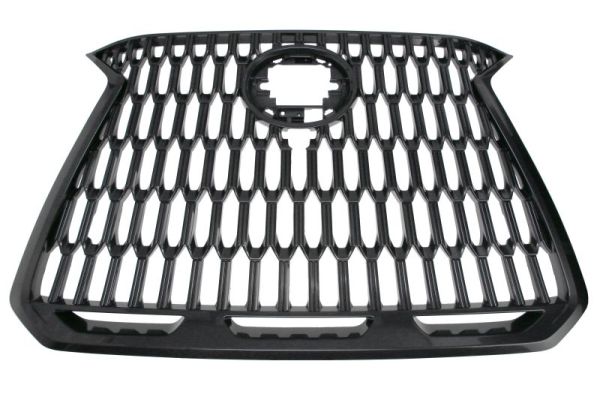 Blic Radiateurgrille 6502-07-8268995P