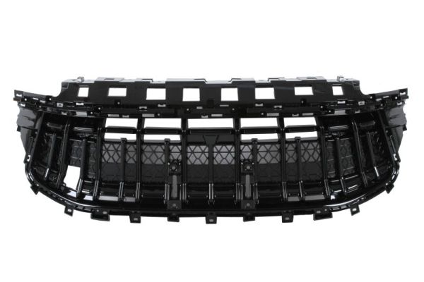 Blic Radiateurgrille 6502-07-8400990P