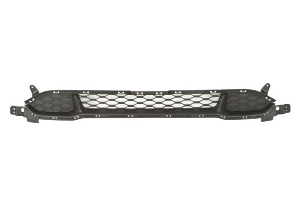 Blic Ventilatiegrille, bumper 6502-07-9080910P
