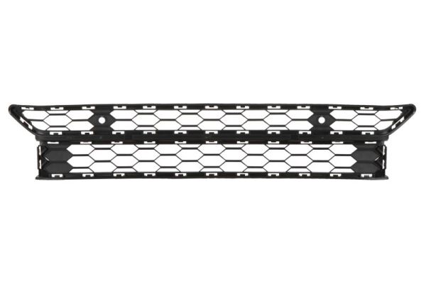 Blic Ventilatiegrille, bumper 6502-07-9595921P