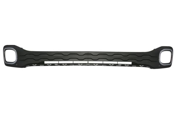 Blic Ventilatiegrille, bumper 6502-07-9597910P