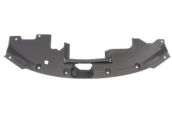 Blic Sier- / beschermingspaneel, bumper 6502-08-2950201P