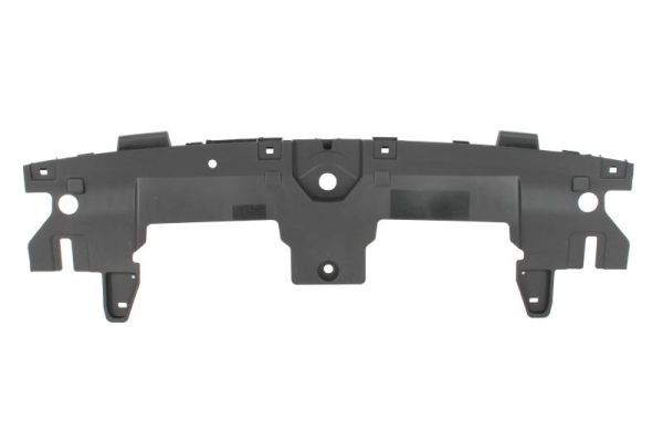 Blic Sier- / beschermingspaneel, bumper 6508-05-9586249P