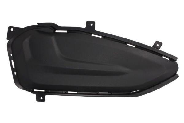 Blic Ventilatiegrille, bumper 6509-01-2598912P